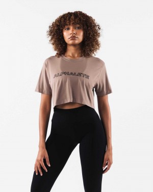 Camisa Manga Corta Alphalete Core Airtech SS Crop Mujer Marrom | Mexico-139570