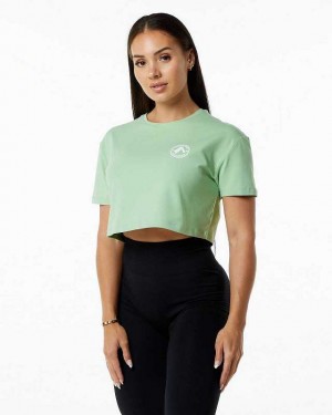 Camisa Manga Corta Alphalete Dynasty Crop Mujer Verdes | Mexico-254701