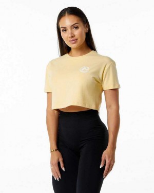 Camisa Manga Corta Alphalete Dynasty Crop Mujer Amarillos | Mexico-608953