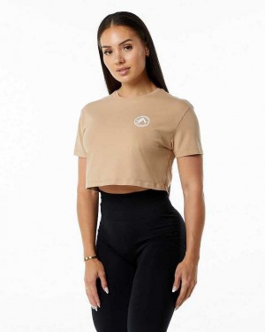 Camisa Manga Corta Alphalete Dynasty Crop Mujer Marrom | Mexico-301589