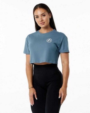 Camisa Manga Corta Alphalete Dynasty Crop Mujer Azules | Mexico-843672