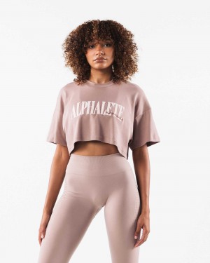 Camisa Manga Corta Alphalete Republic Crop Mujer Marrom | Mexico-245137