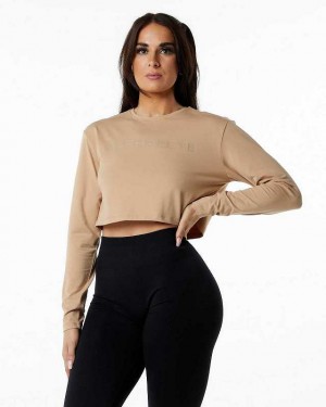 Camisa Manga Larga Alphalete Core LS Crop Mujer Marrom | Mexico-421739