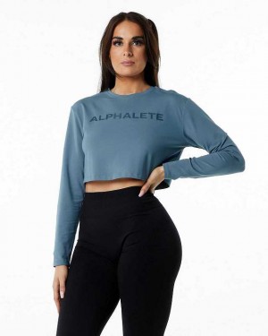 Camisa Manga Larga Alphalete Core LS Crop Mujer Azules | Mexico-796138