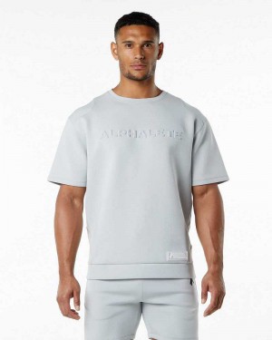 Pullover Alphalete ELMTS Half Sleeve Hombre Grises | Mexico-129043