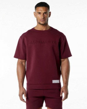 Pullover Alphalete ELMTS Half Sleeve Hombre Rojos | Mexico-106428