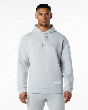 Sudadera con Capucha Alphalete ELMTS Hombre Grises | Mexico-286039