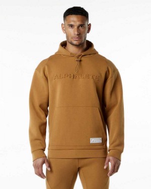 Sudadera con Capucha Alphalete ELMTS Hombre Marrom | Mexico-984165