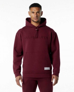 Sudadera con Capucha Alphalete ELMTS Hombre Rojos | Mexico-158290