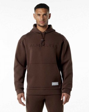 Sudadera con Capucha Alphalete ELMTS Hombre Marrom | Mexico-784039