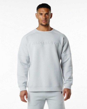 Suéter Alphalete ELMTS Crewneck Hombre Grises | Mexico-721354