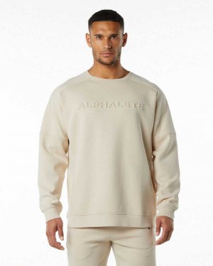 Suéter Alphalete ELMTS Crewneck Hombre Marrom | Mexico-197520