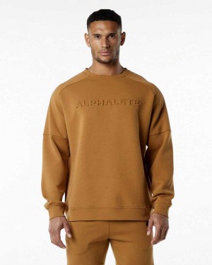 Suéter Alphalete ELMTS Crewneck Hombre Marrom | Mexico-617425