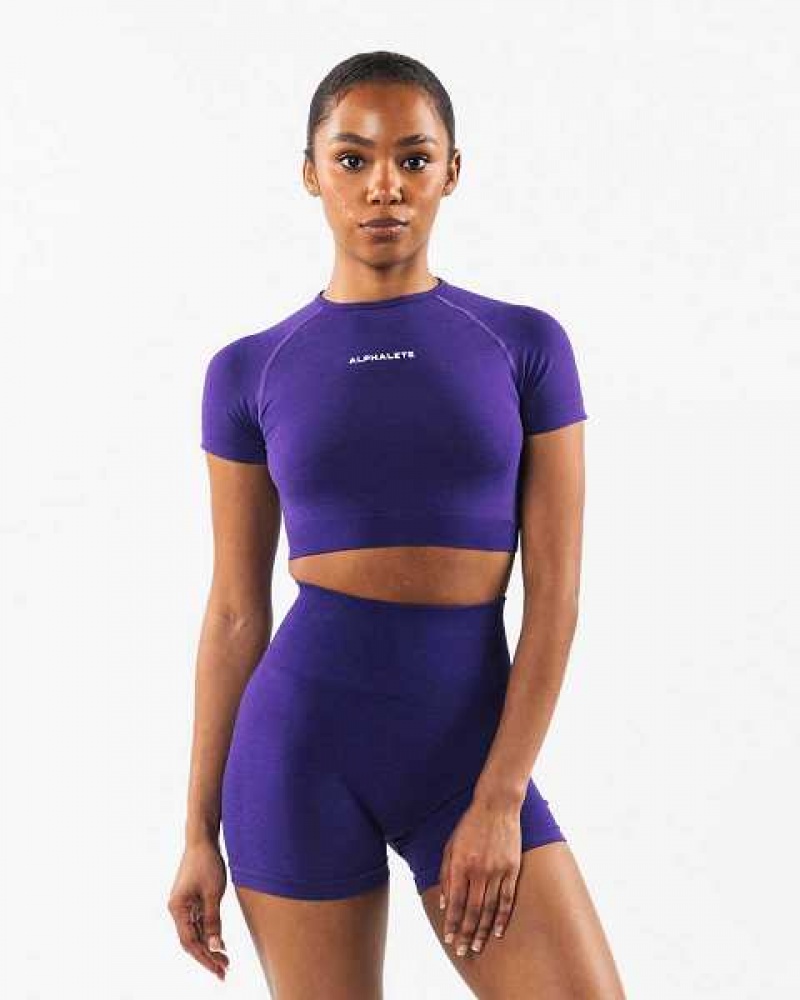 Camisa Manga Corta Alphalete Amplify SS Crop Mujer Morados | Mexico-927841