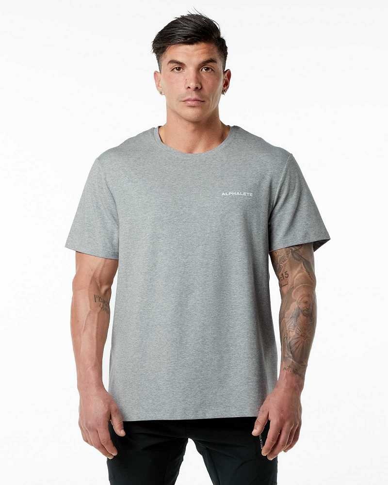 Camisa Manga Corta Alphalete Classic Hombre Grises | Mexico-370859