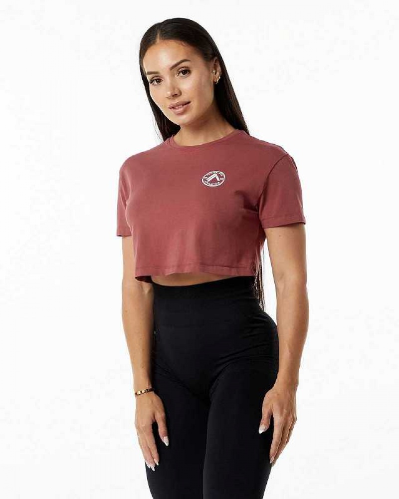 Camisa Manga Corta Alphalete Dynasty Crop Mujer Rojos | Mexico-145286