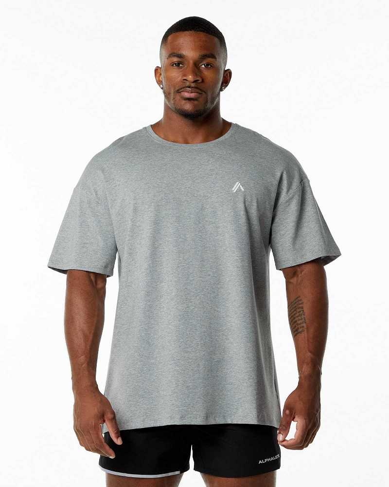 Camisa Manga Corta Alphalete Emblem Hombre Grises | Mexico-752069