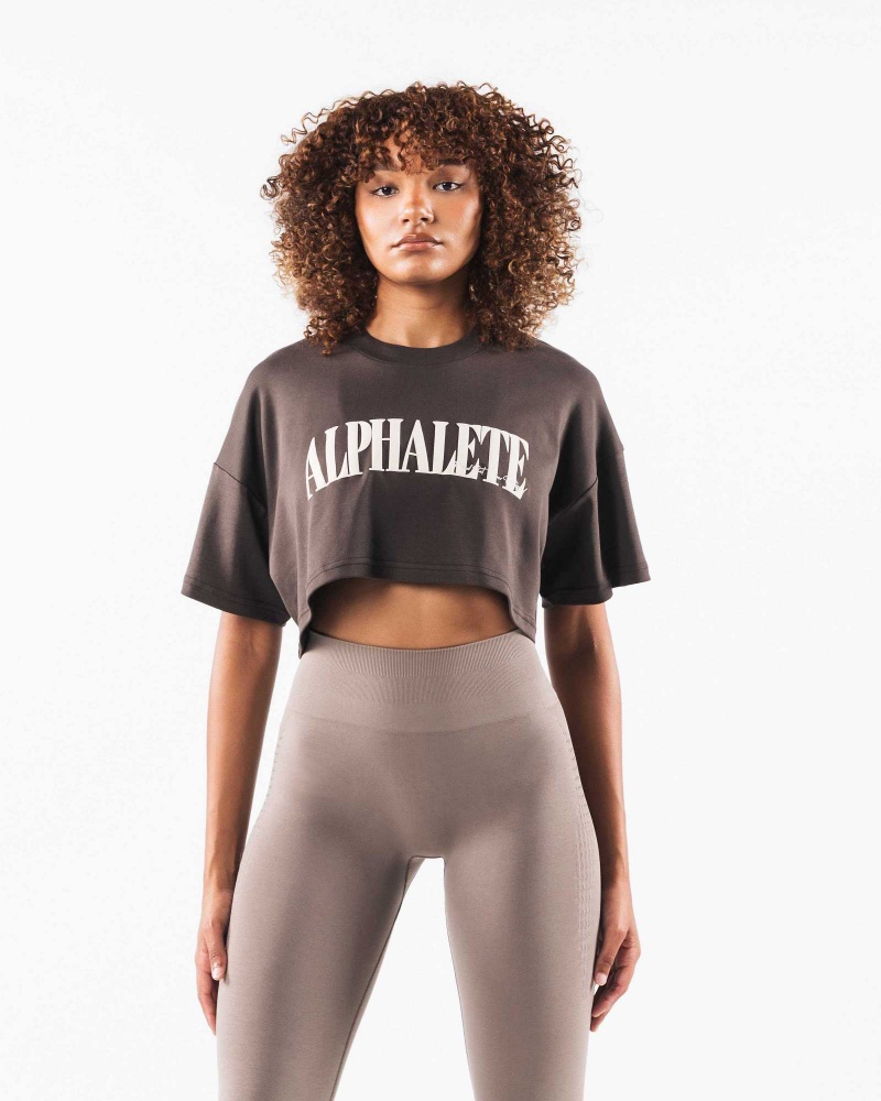 Camisa Manga Corta Alphalete Republic Crop Mujer Marrom | Mexico-862917