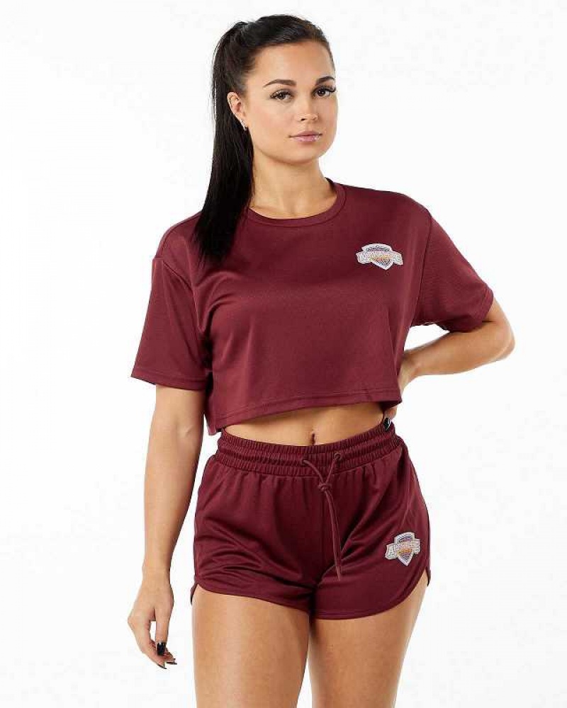 Camisa Manga Corta Alphalete Varsity Crop Mujer Rojos | Mexico-548027