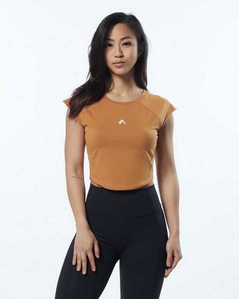 Camisa Manga Corta Alphalete Velocity Crop Mujer Marrom | Mexico-456392