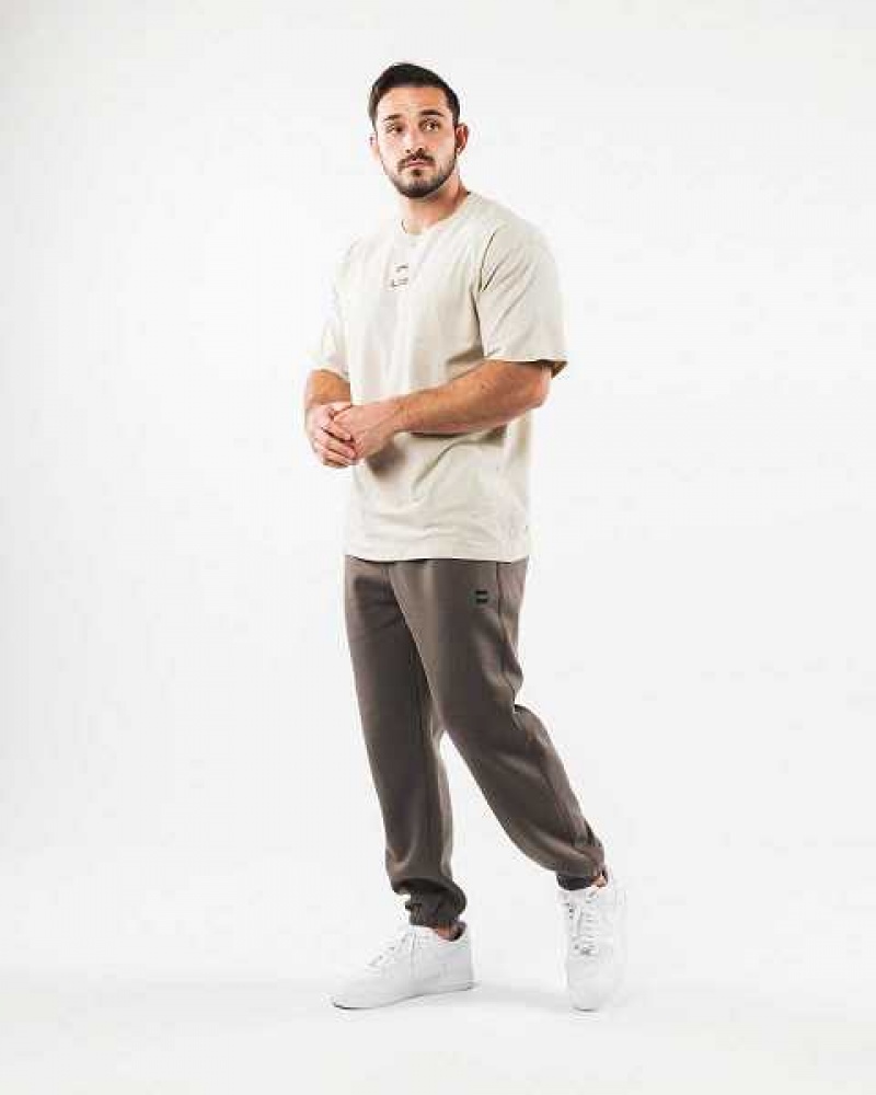 Pantalones Jogger Alphalete Academy Relaxed Hombre Marrom | Mexico-741023