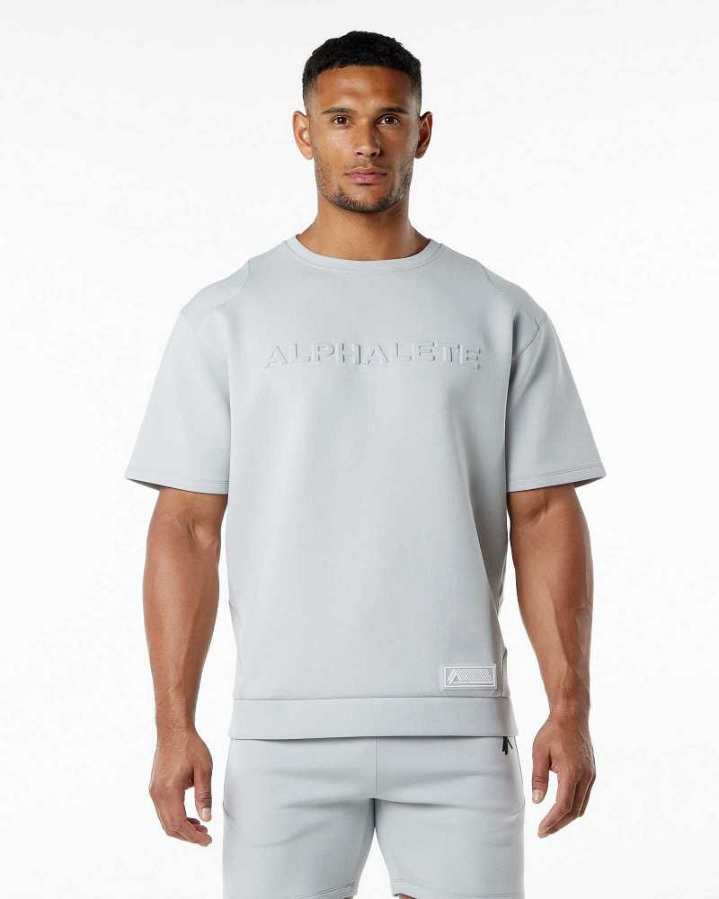 Pullover Alphalete ELMTS Half Sleeve Hombre Grises | Mexico-129043