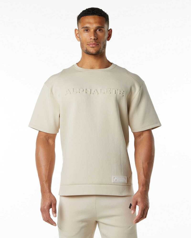 Pullover Alphalete ELMTS Half Sleeve Hombre Marrom | Mexico-578931