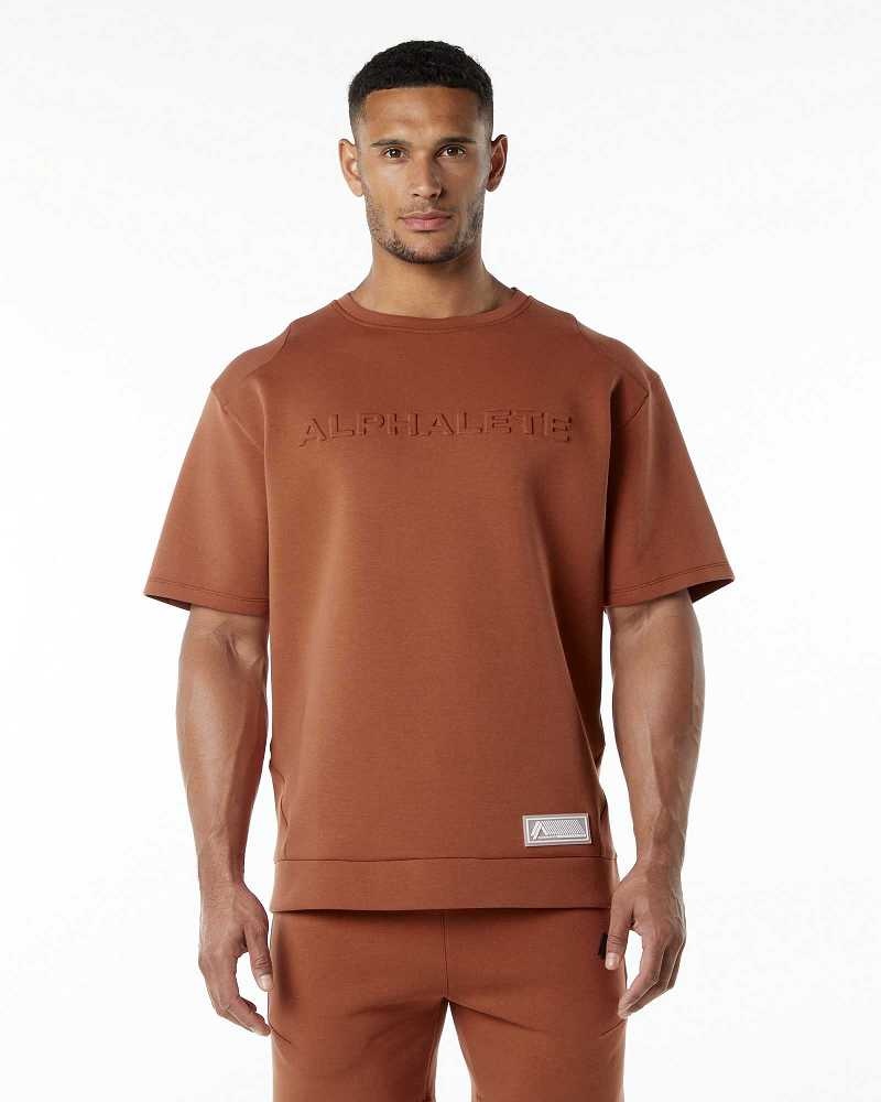 Pullover Alphalete ELMTS Half Sleeve Hombre Marrom | Mexico-604872