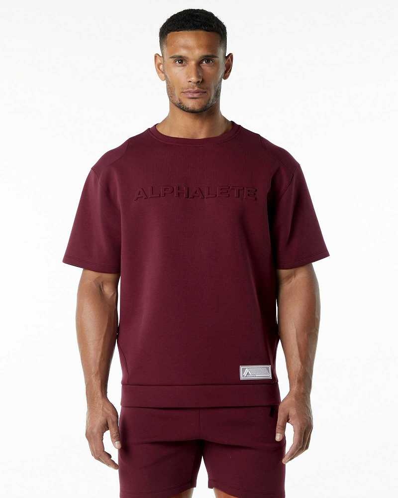 Pullover Alphalete ELMTS Half Sleeve Hombre Rojos | Mexico-106428