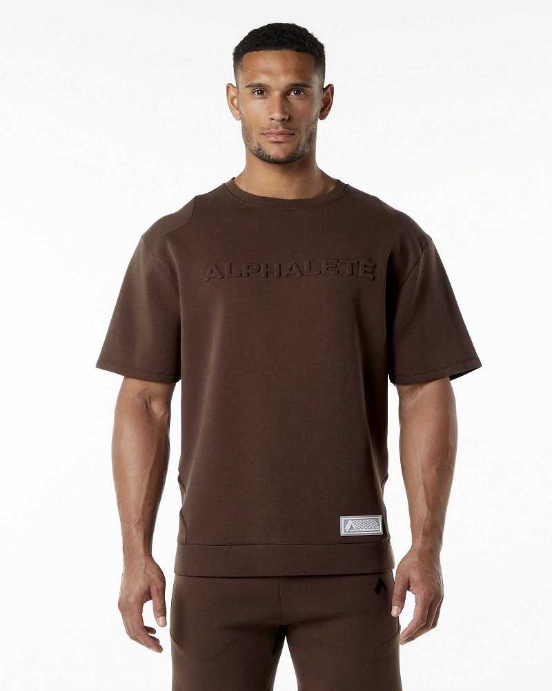 Pullover Alphalete ELMTS Half Sleeve Hombre Marrom | Mexico-618294