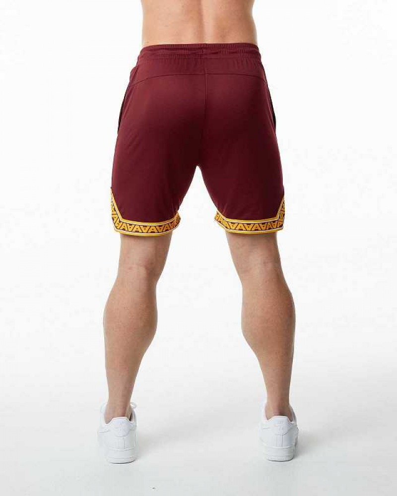 Short Alphalete Varsity Basketball 9