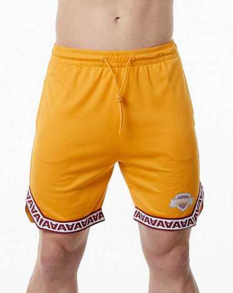 Short Alphalete Varsity Basketball 9\