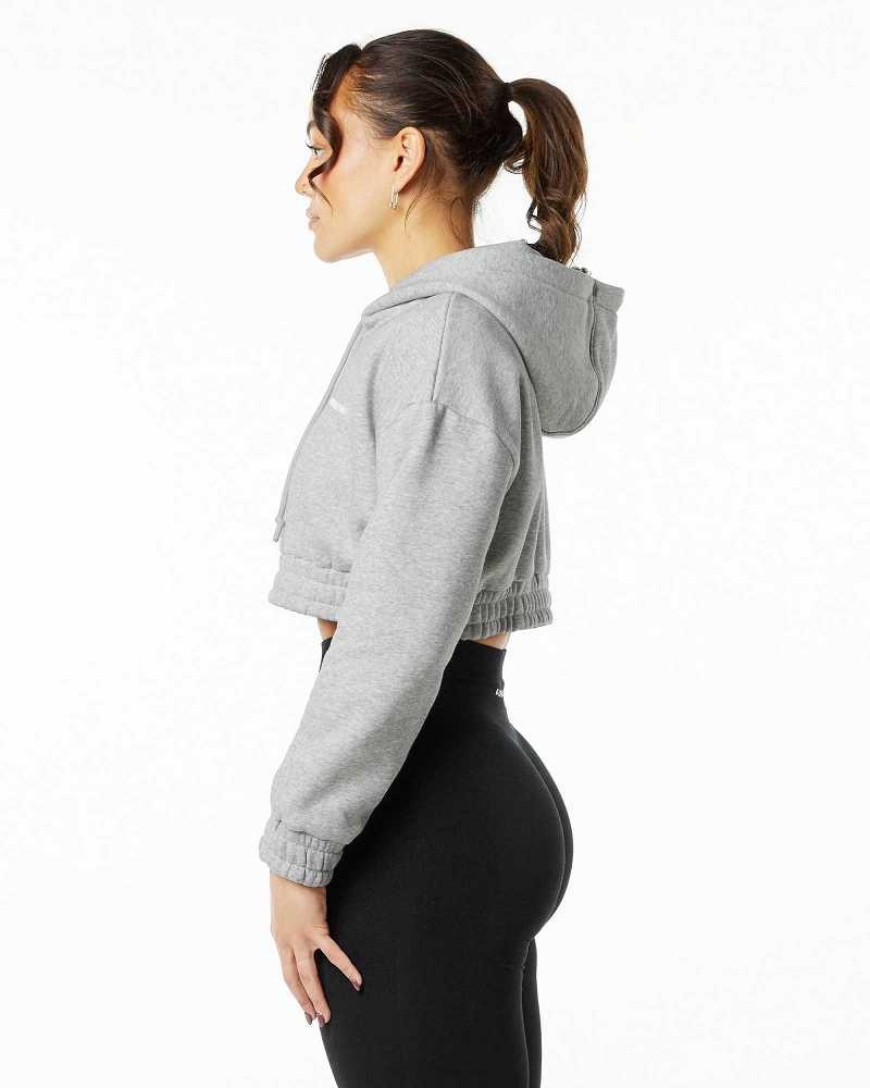 Sudadera con Capucha Alphalete Classic Capital Crop Mujer Grises | Mexico-365024