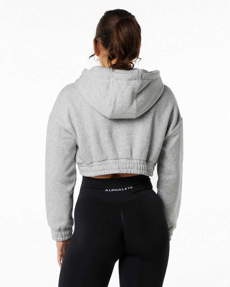 Sudadera con Capucha Alphalete Classic Capital Crop Mujer Grises | Mexico-365024