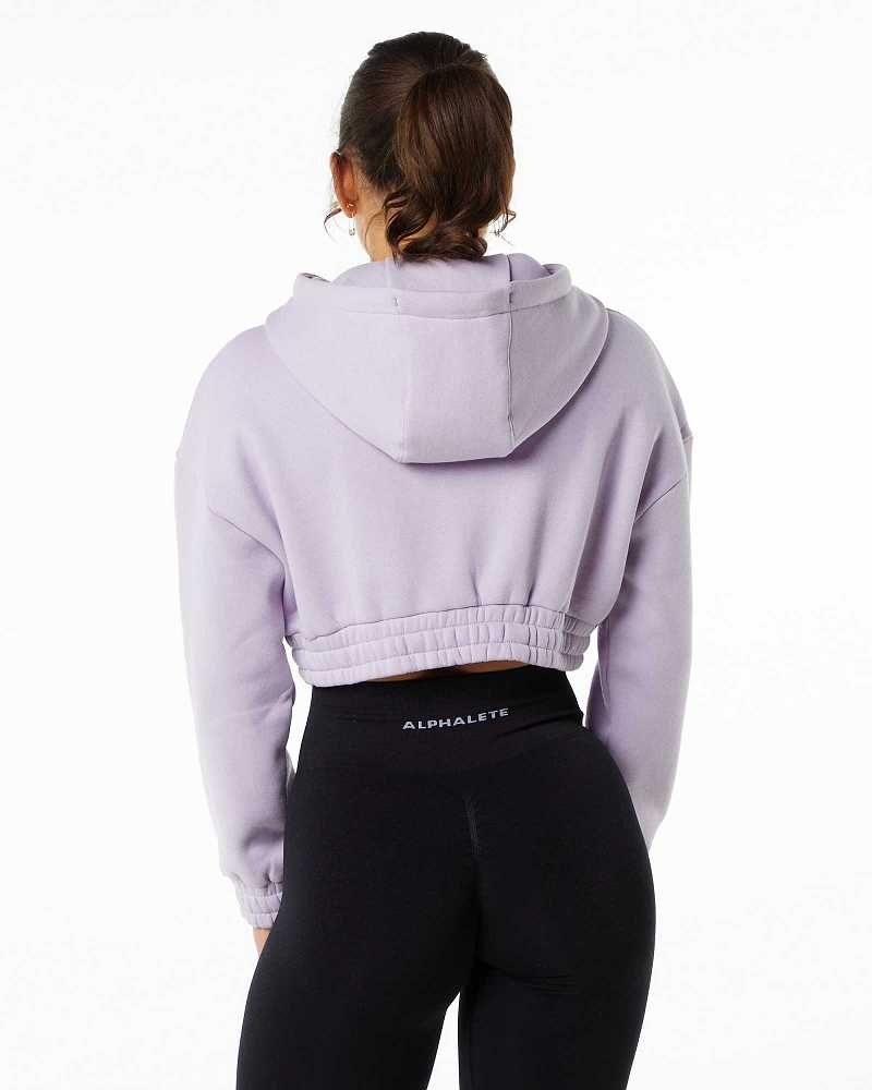 Sudadera con Capucha Alphalete Classic Capital Crop Mujer Morados | Mexico-574836