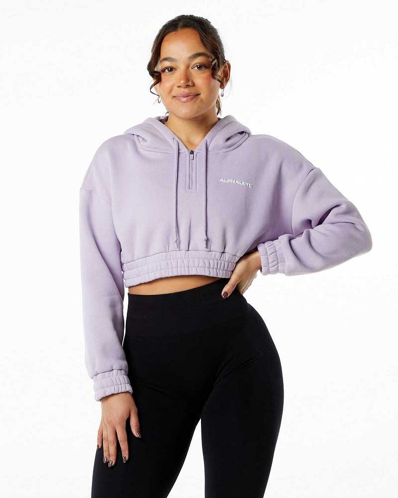 Sudadera con Capucha Alphalete Classic Capital Crop Mujer Morados | Mexico-574836