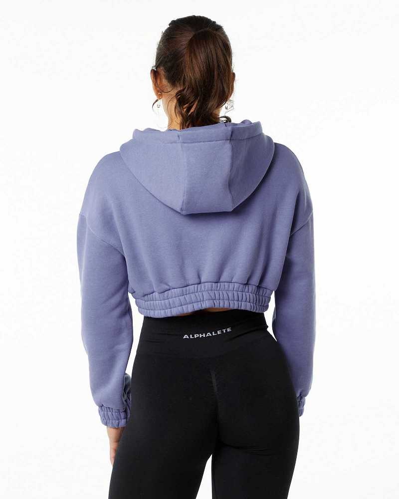 Sudadera con Capucha Alphalete Classic Capital Crop Mujer Morados | Mexico-692184