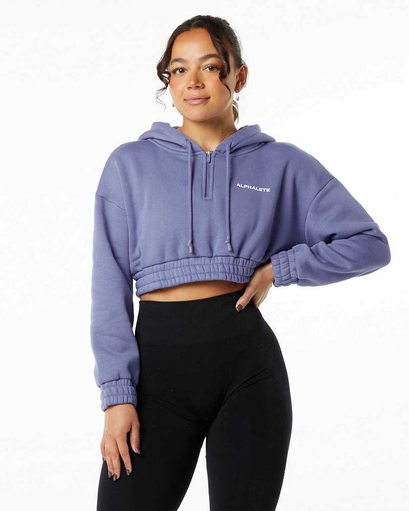 Sudadera con Capucha Alphalete Classic Capital Crop Mujer Morados | Mexico-692184