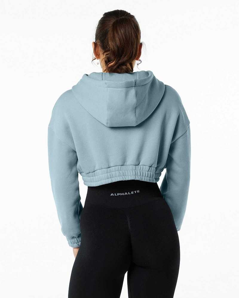 Sudadera con Capucha Alphalete Classic Capital Crop Mujer Azules | Mexico-043765