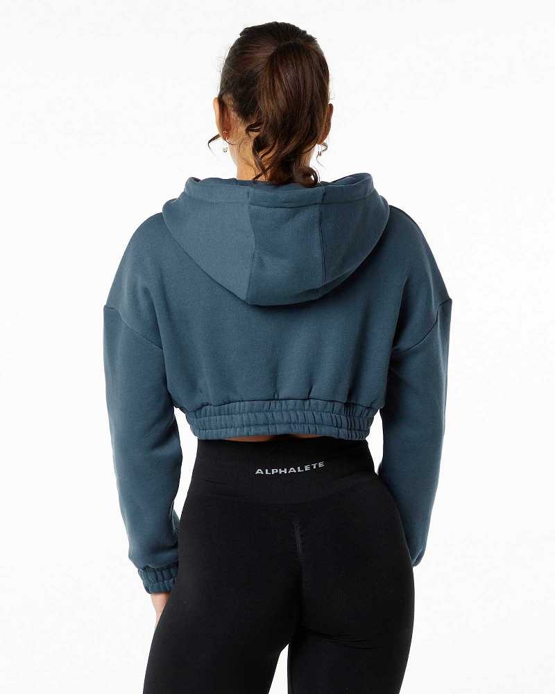 Sudadera con Capucha Alphalete Classic Capital Crop Mujer Azules | Mexico-721546