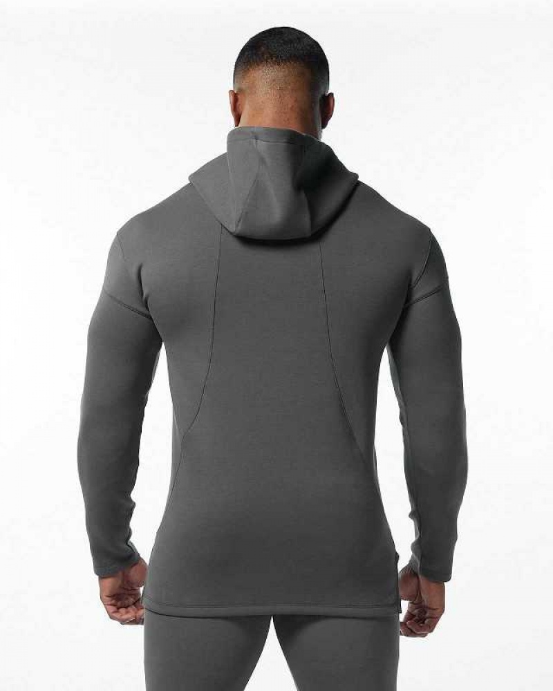 Sudadera con Capucha Alphalete ELMTS Fitted Hombre Grises | Mexico-271384