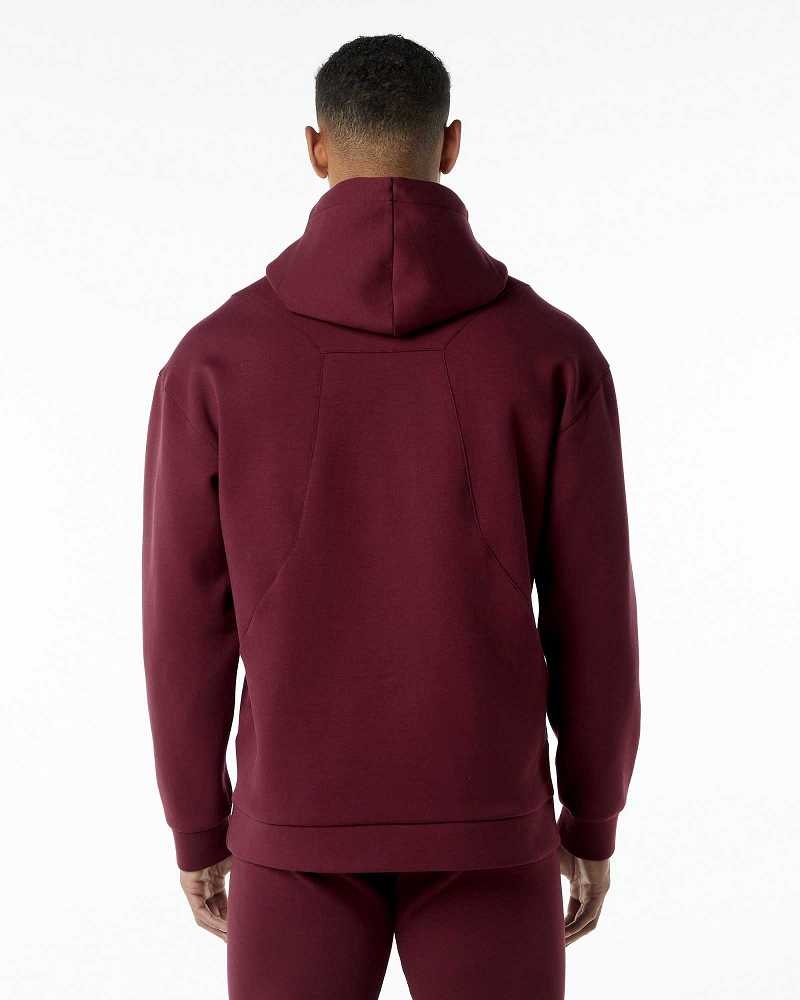 Sudadera con Capucha Alphalete ELMTS Hombre Rojos | Mexico-158290