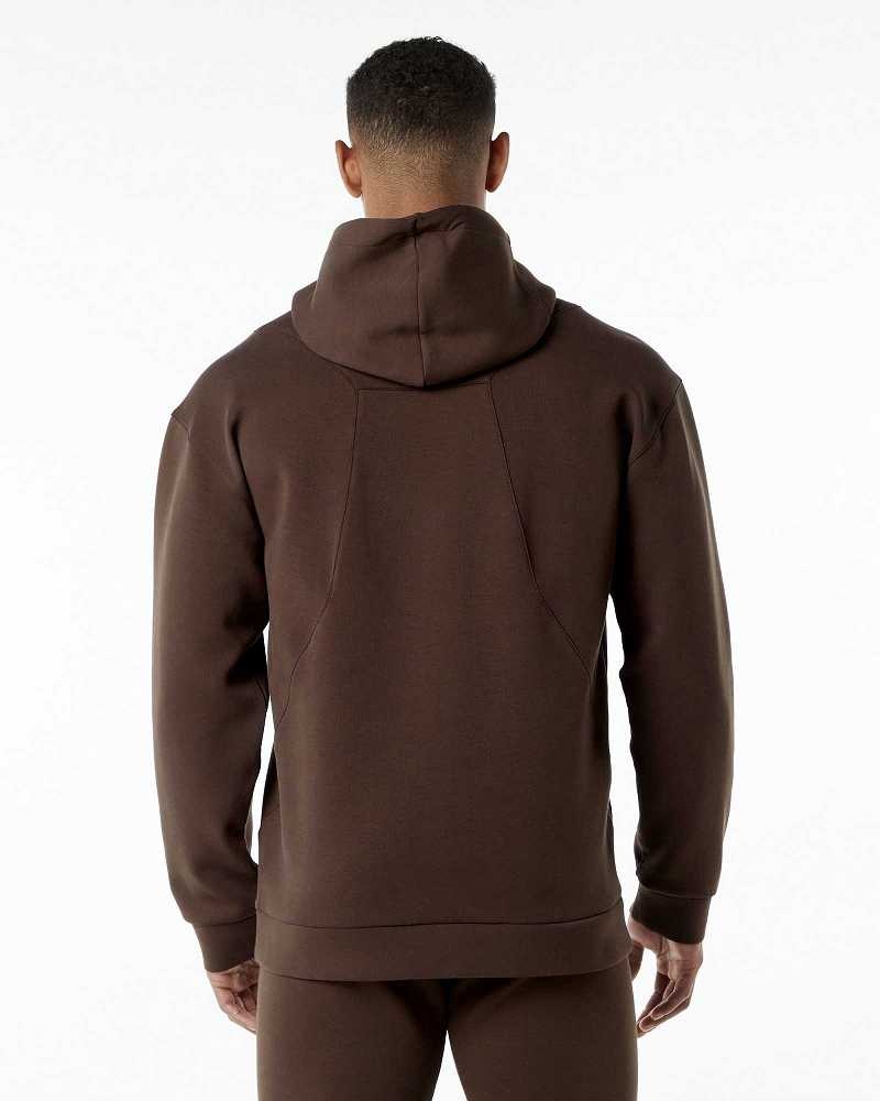 Sudadera con Capucha Alphalete ELMTS Hombre Marrom | Mexico-784039