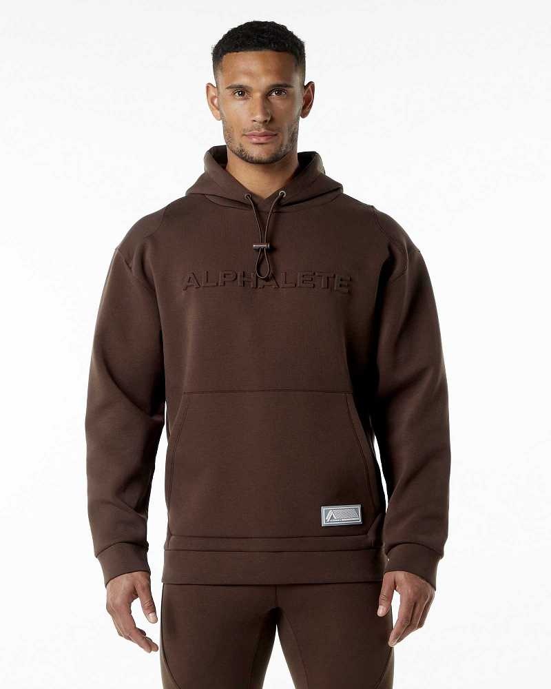 Sudadera con Capucha Alphalete ELMTS Hombre Marrom | Mexico-784039