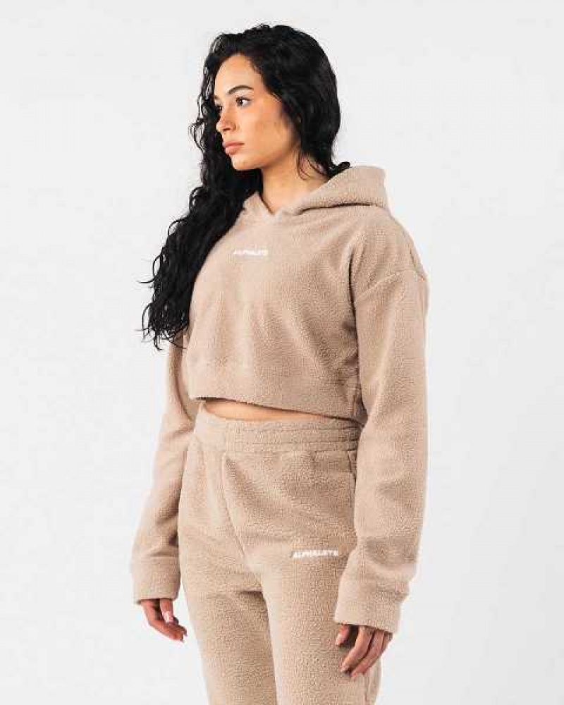 Sudadera con Capucha Alphalete King Crop Mujer Marrom | Mexico-314987