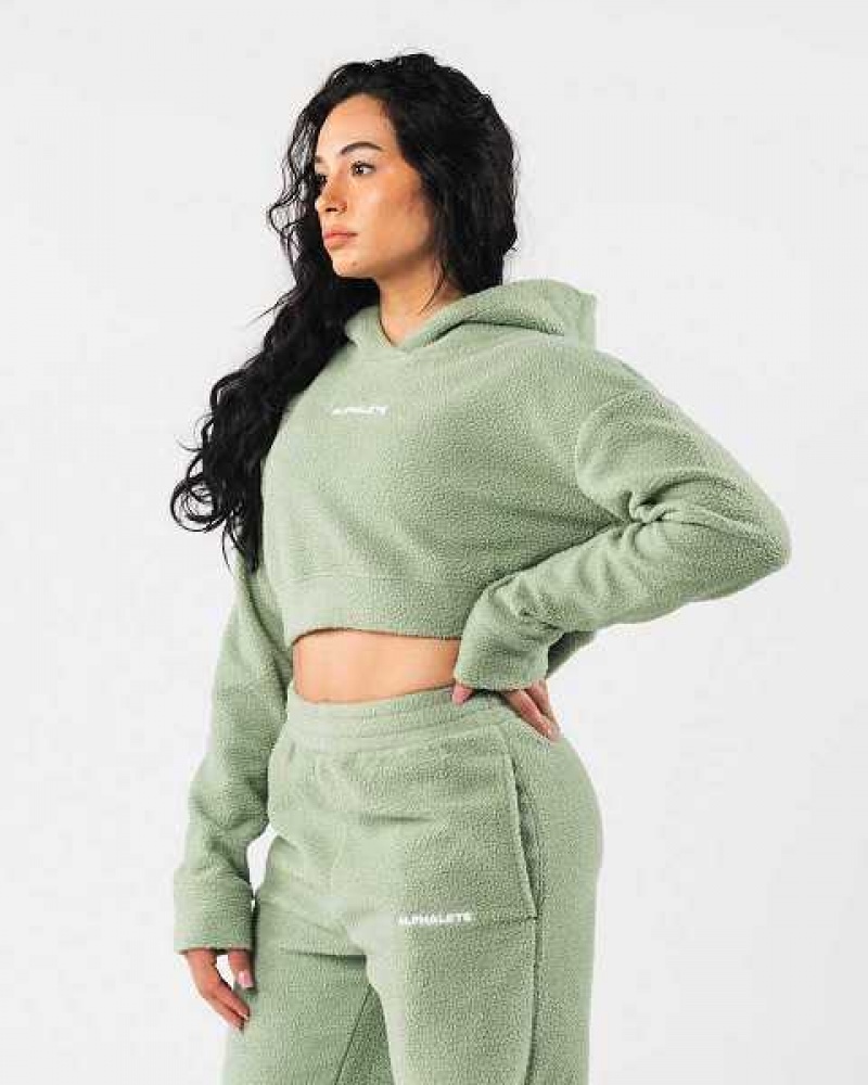 Sudadera con Capucha Alphalete King Crop Mujer Verdes | Mexico-063724