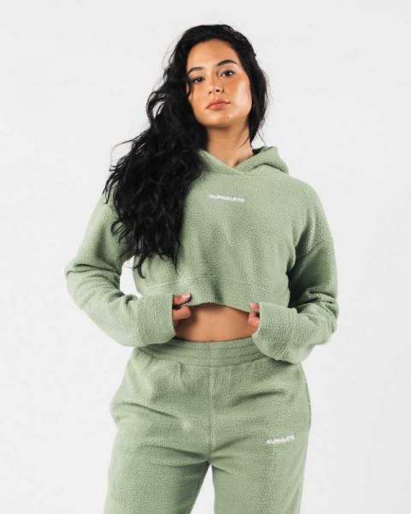 Sudadera con Capucha Alphalete King Crop Mujer Verdes | Mexico-063724