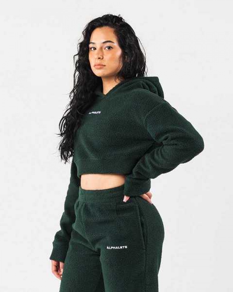 Sudadera con Capucha Alphalete King Crop Mujer Verdes | Mexico-984135