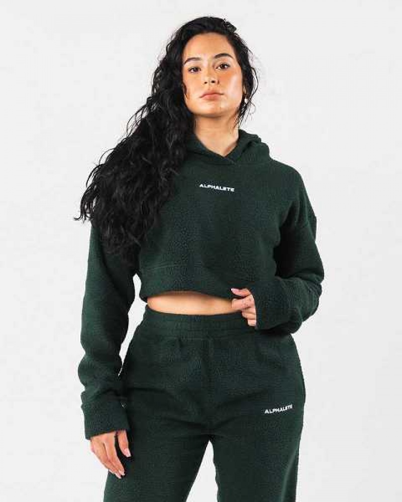 Sudadera con Capucha Alphalete King Crop Mujer Verdes | Mexico-984135