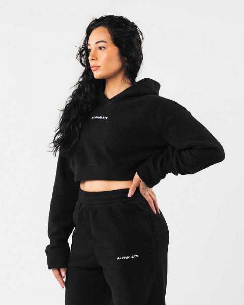 Sudadera con Capucha Alphalete King Crop Mujer Negros | Mexico-490781